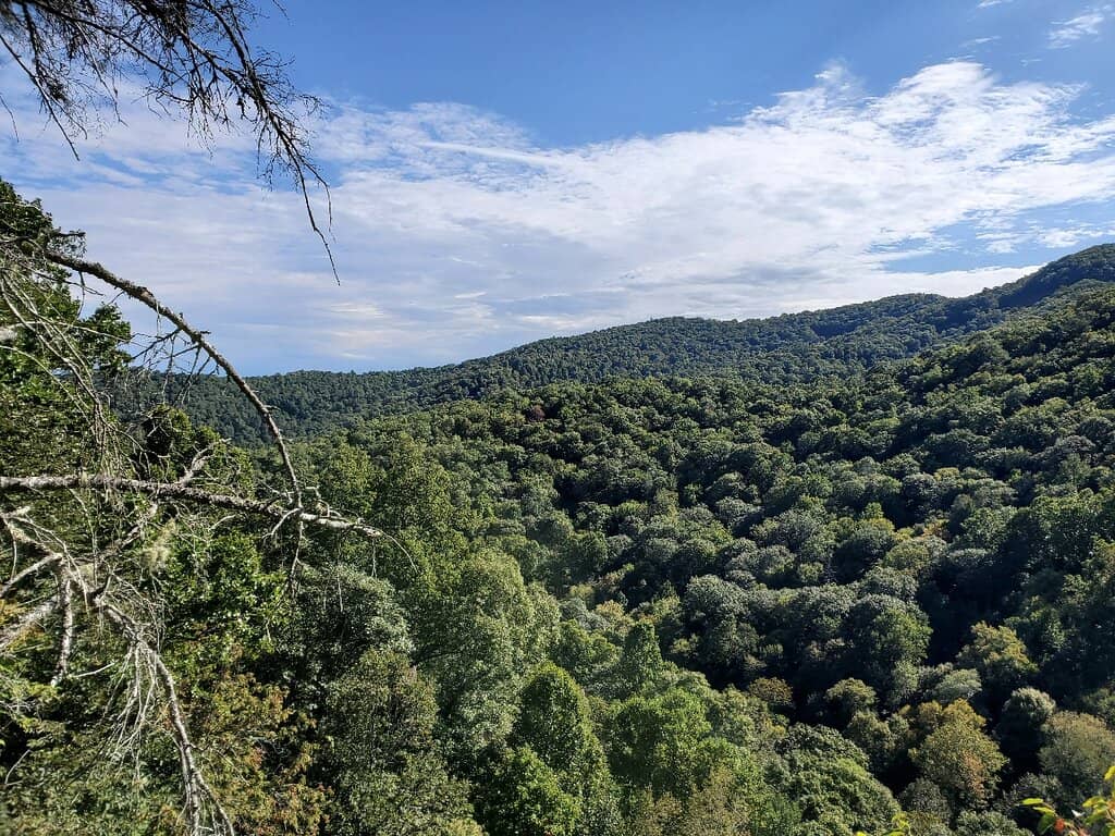 Surrounding Nature & Wildlife