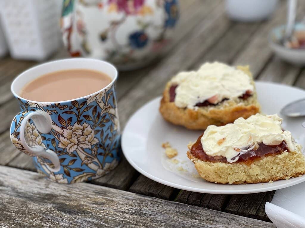 Tree Kangaroo Encounters