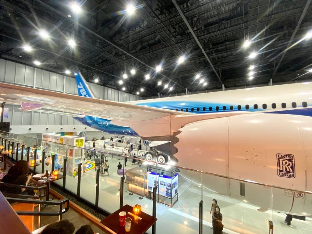 The First Boeing 787 Dreamliner