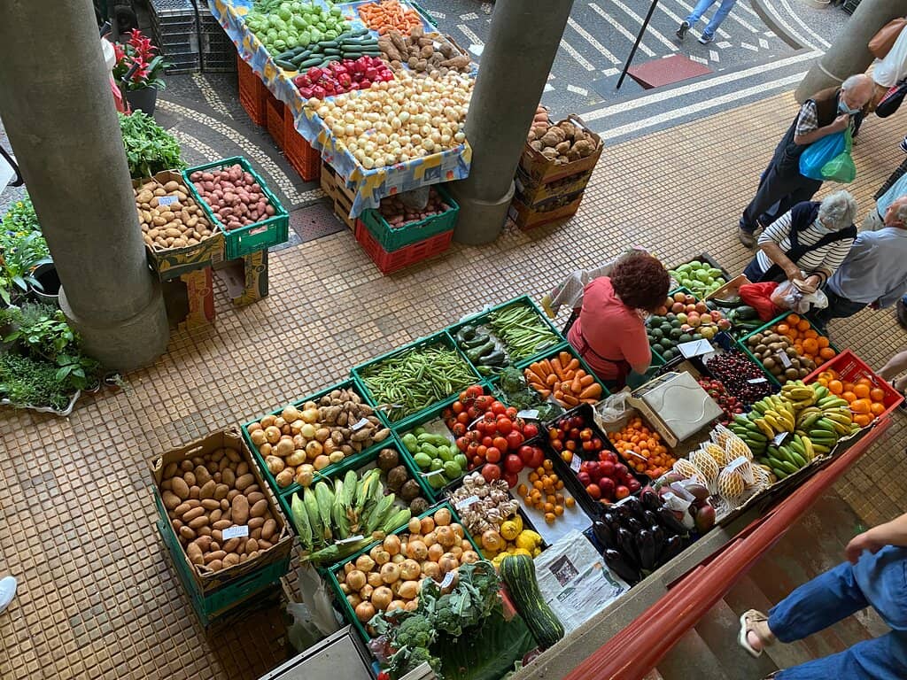 Vibrant Flower Stalls
