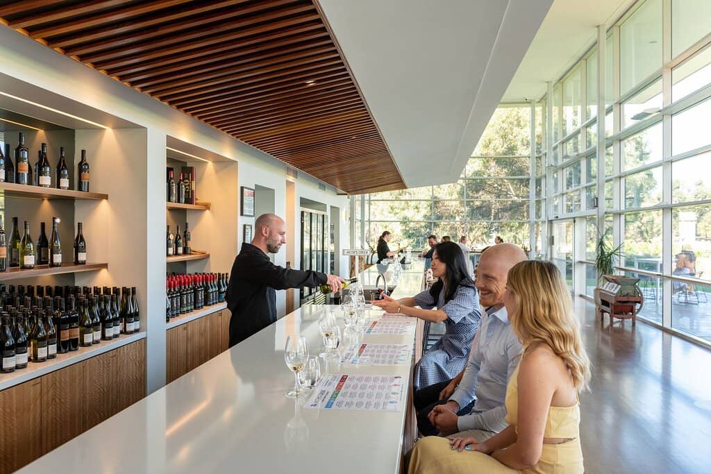 Vineyard Views & Ambiance