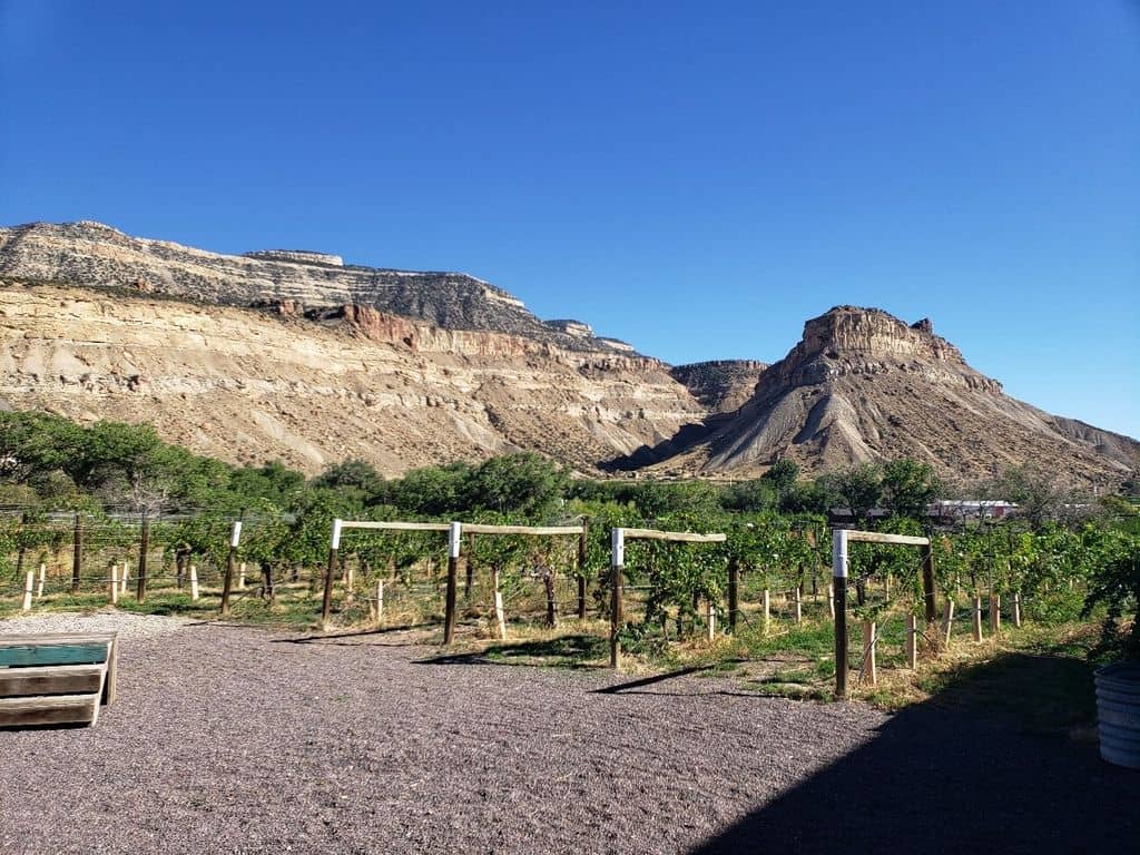 Barrel Cave & Wine Library