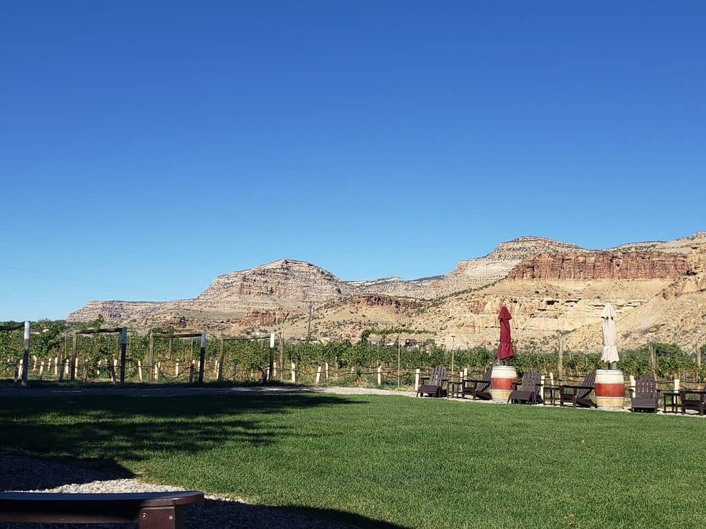 Wine Tasting Experience