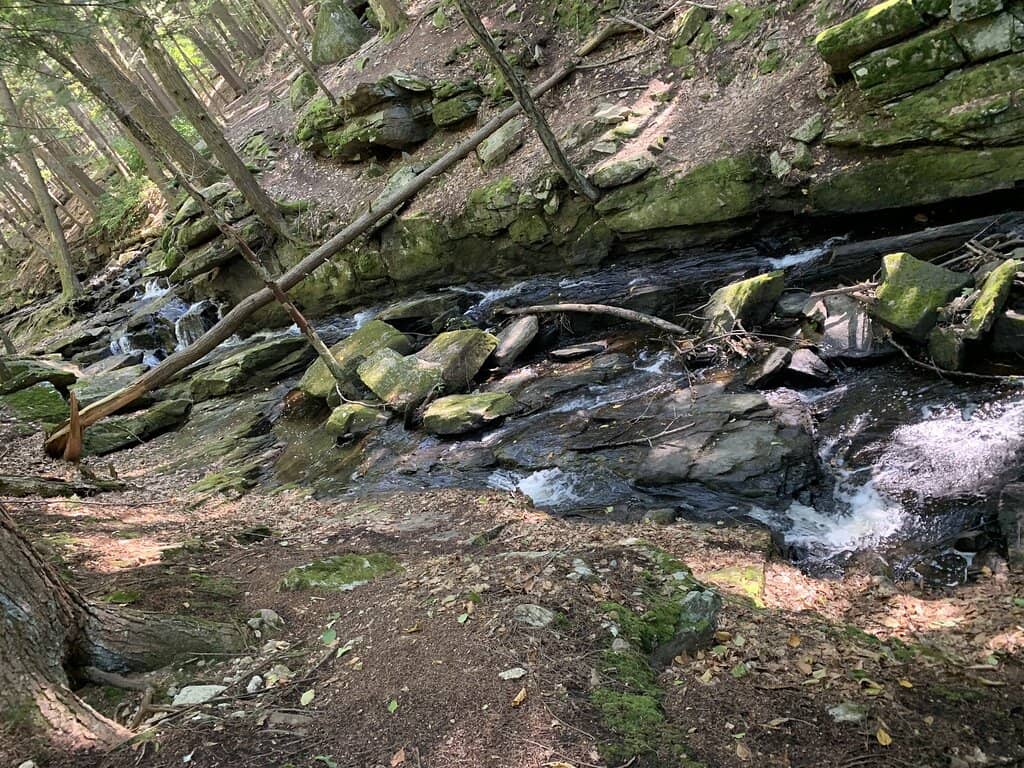 Autumn Foliage Spectacle