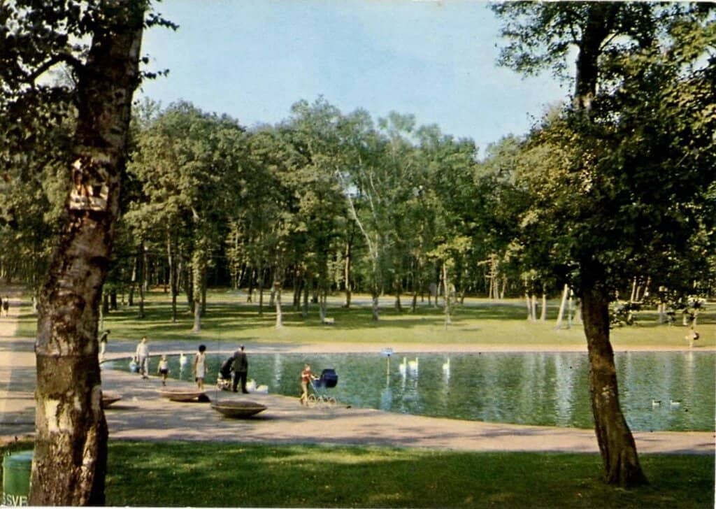 Treetop Adventure Park