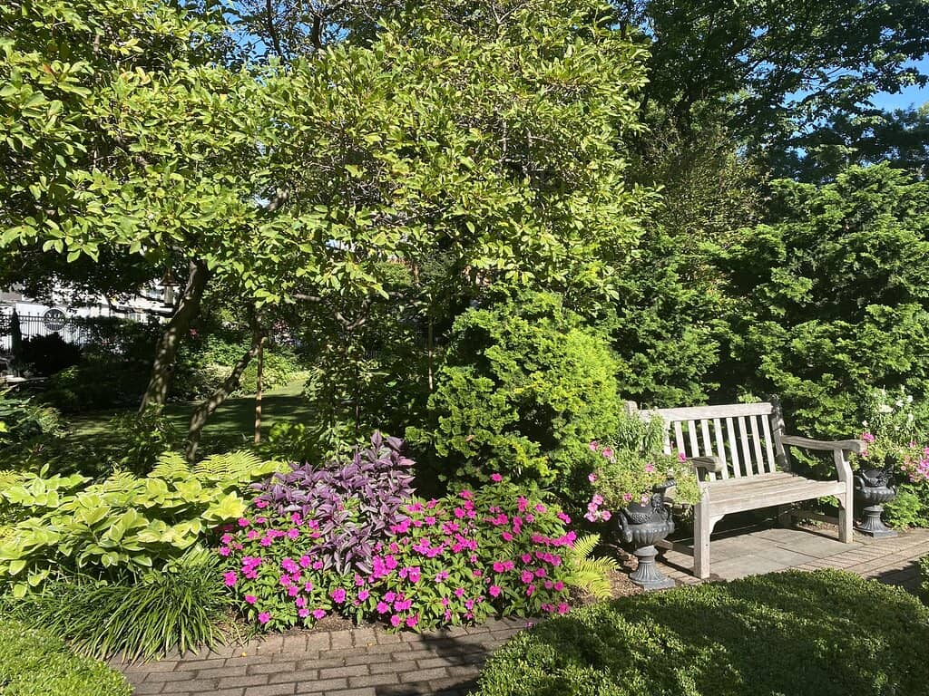 Vibrant Community Hub