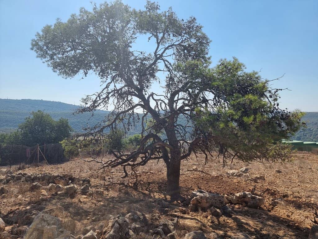 Vertical photo