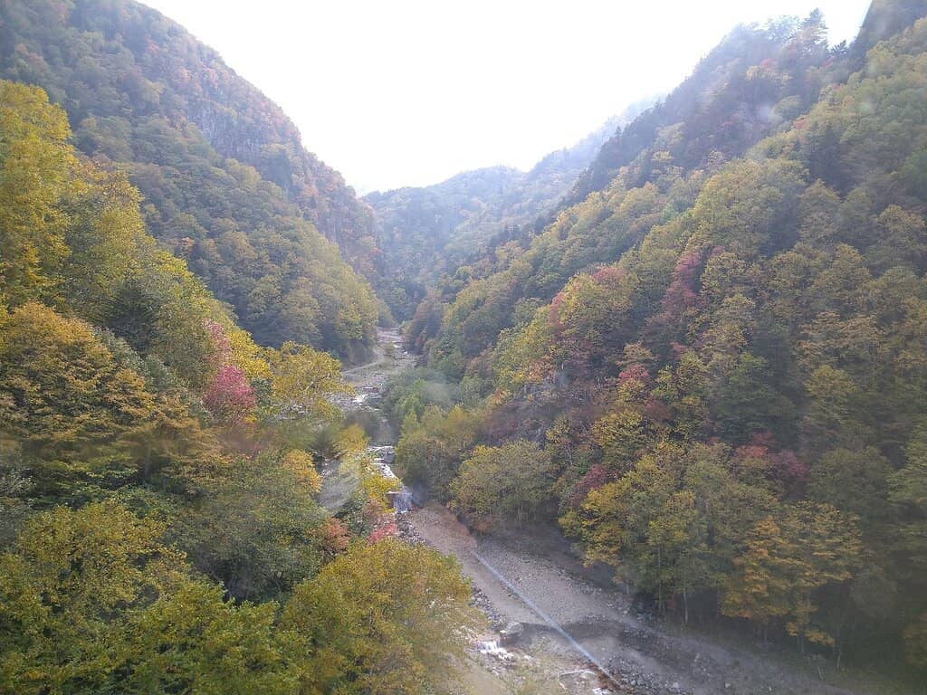 Vertical photo