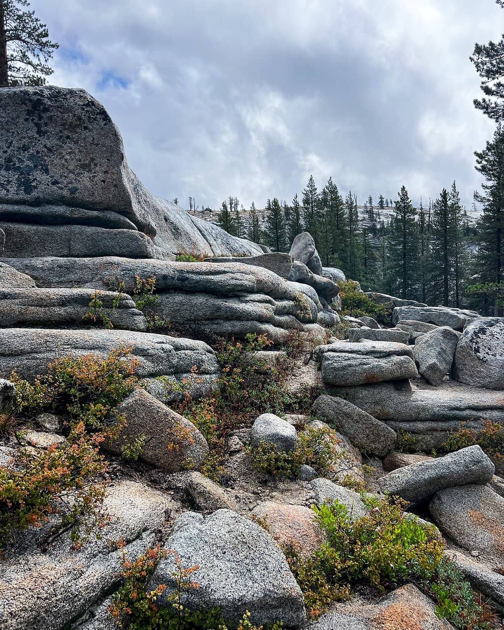 Tenaya Canyon Vista