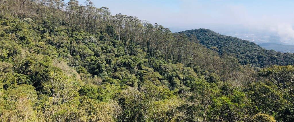 Third hero image
