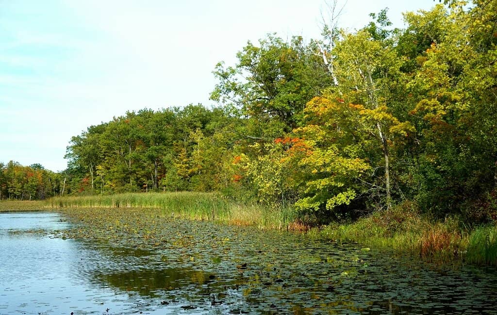 Picnic and Relaxation Spots