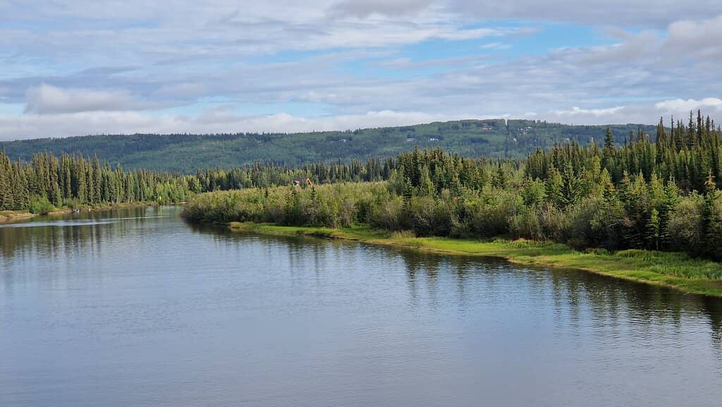Chena River Activities