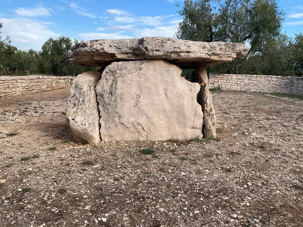 Olive Grove Setting
