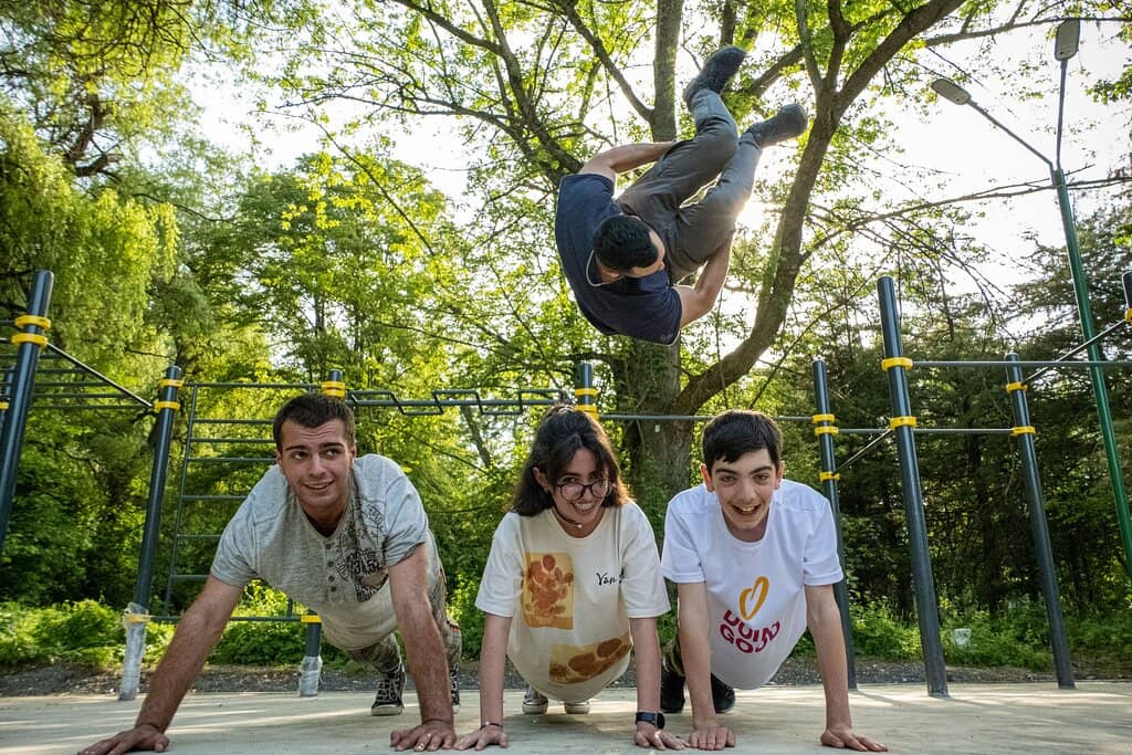 Lush Greenery and Trees