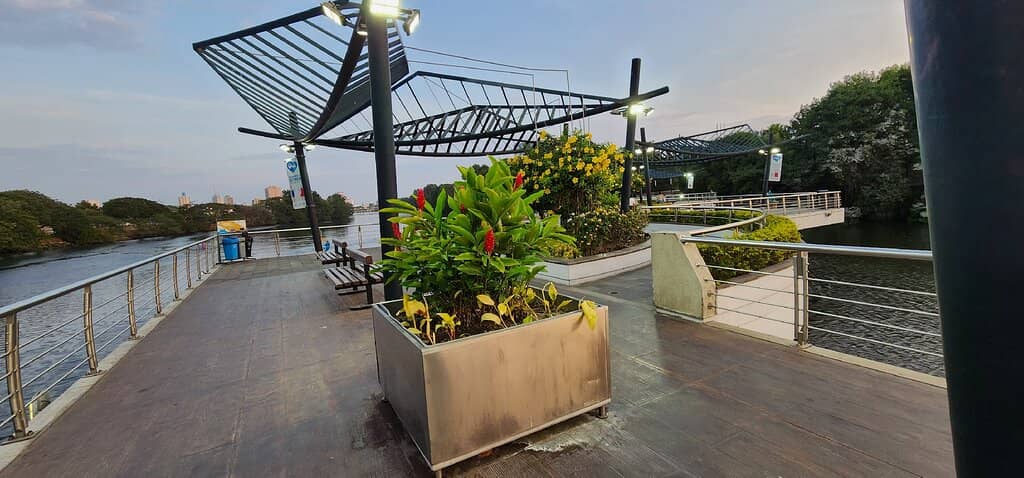 Art Installations & Murals