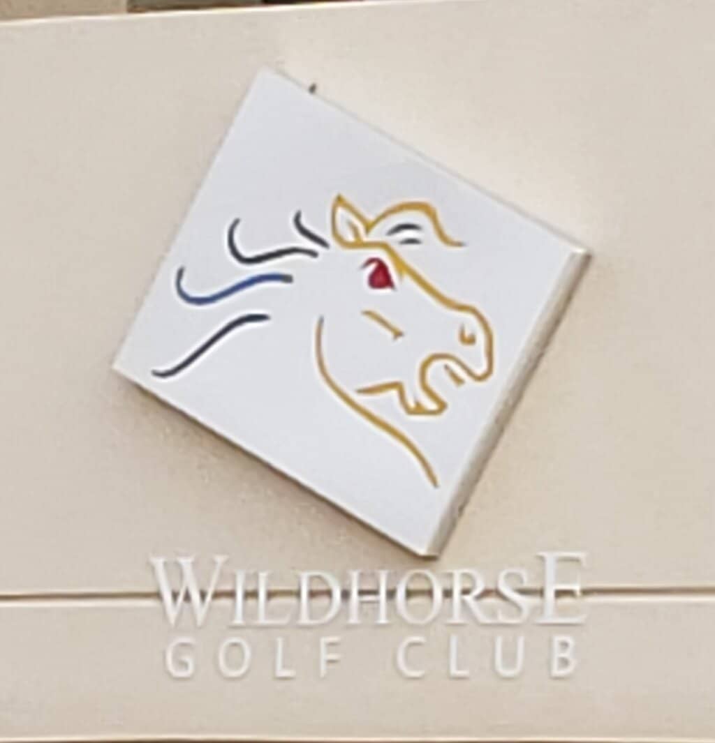 Peaceful Wildlife Encounters