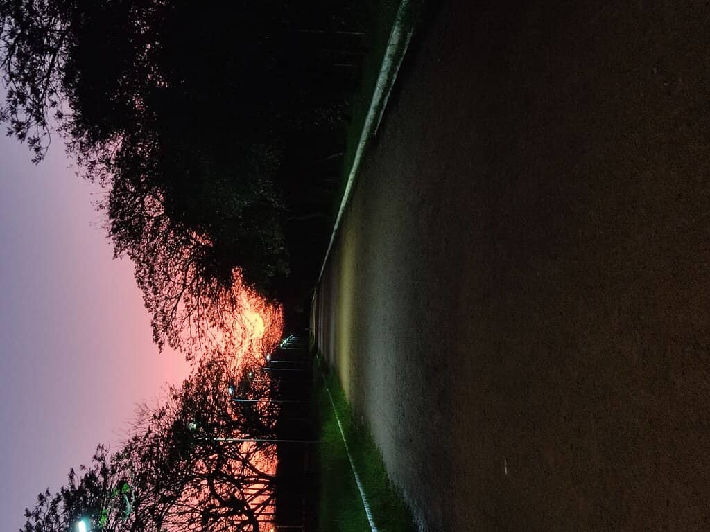 Vertical photo