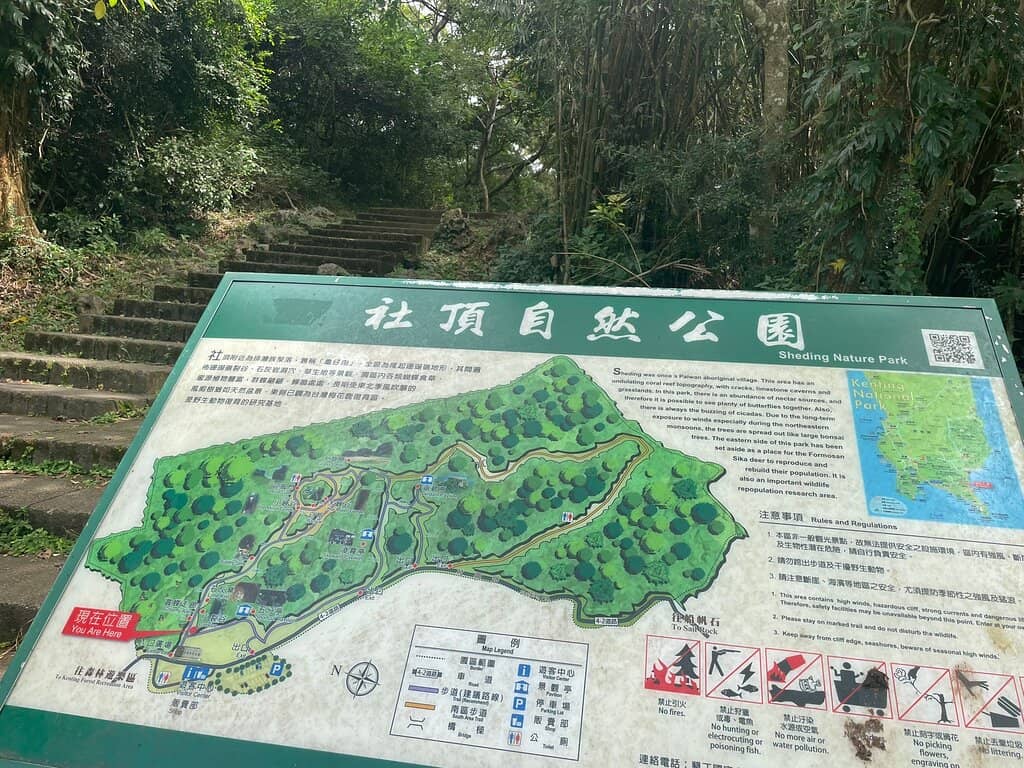 Butterfly Path