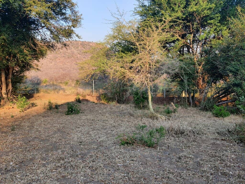 Luxury Safari Tents