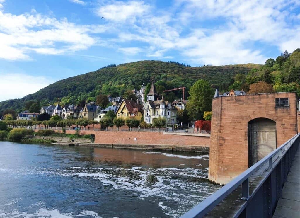 The Iconic Monkey Statue