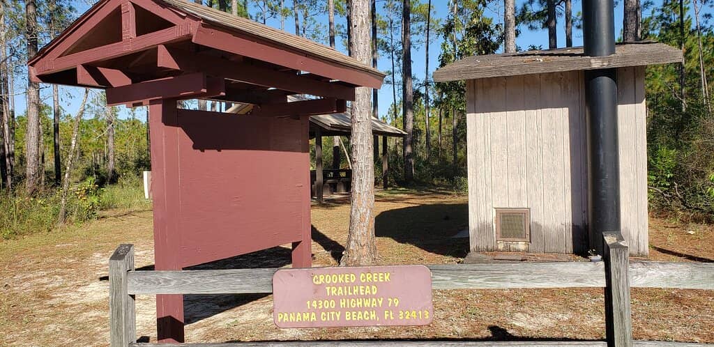 Towering White Pines