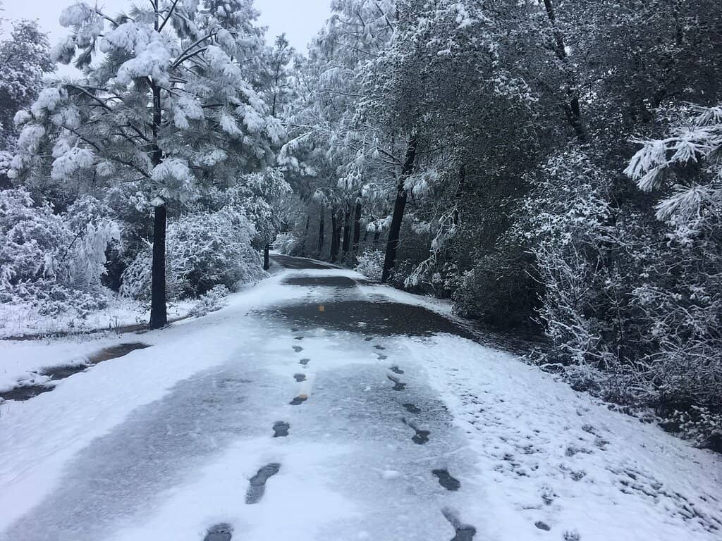 El Dorado Trail (South Shingle Springs)