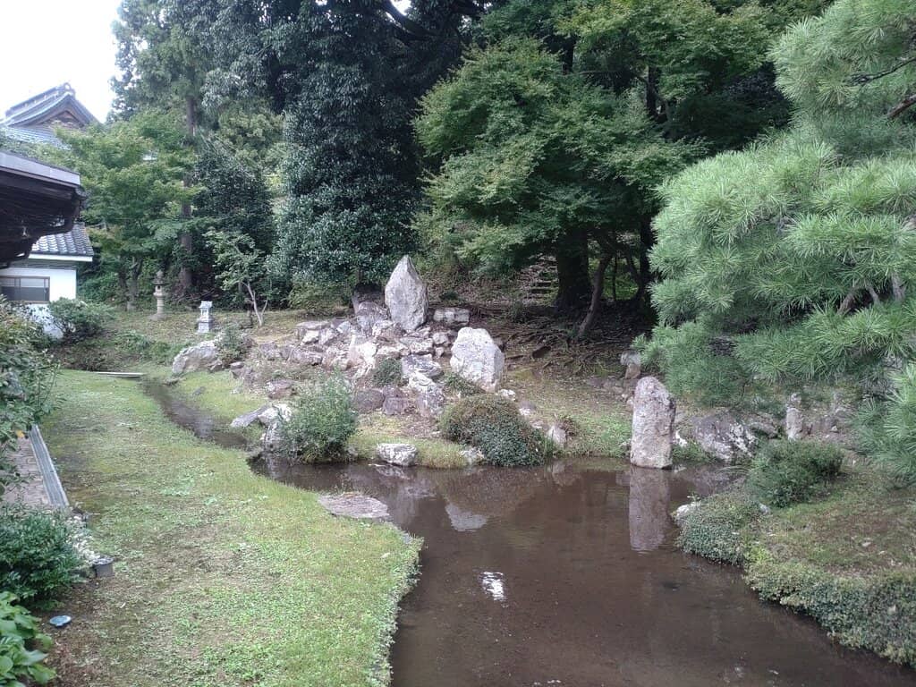 Koshu Grape Origins