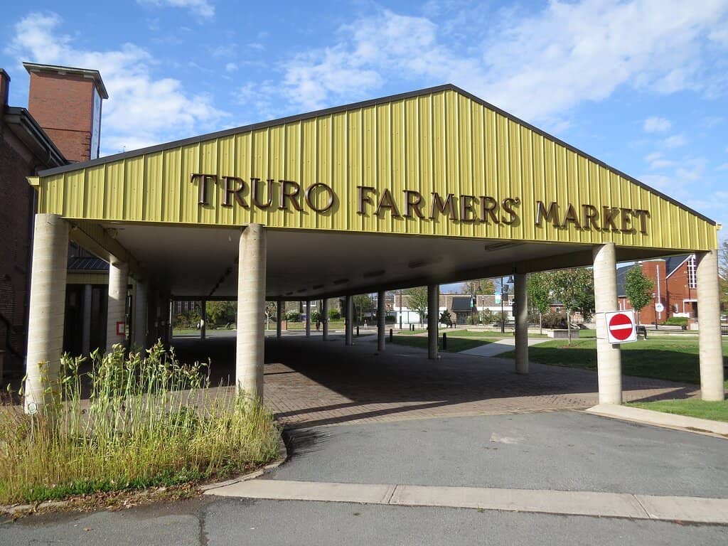 Stunning Flower Bouquets