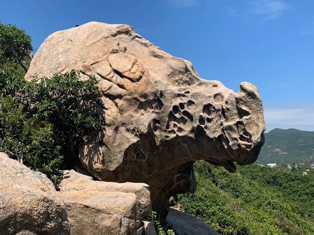 Adventurous Scrambling