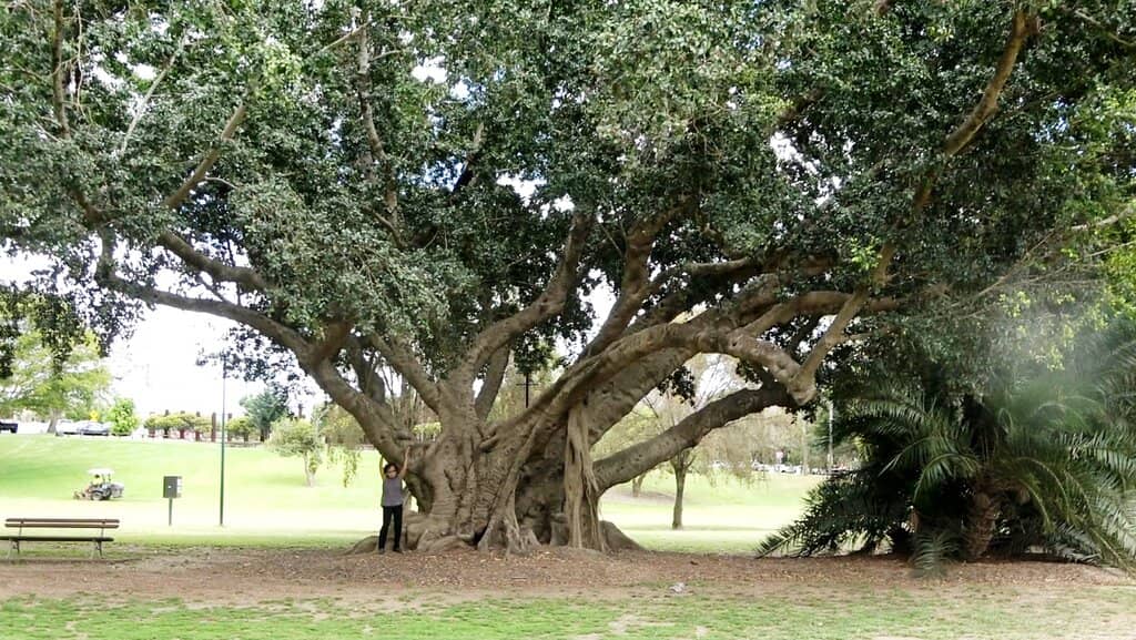 Riverside Views & Picnics