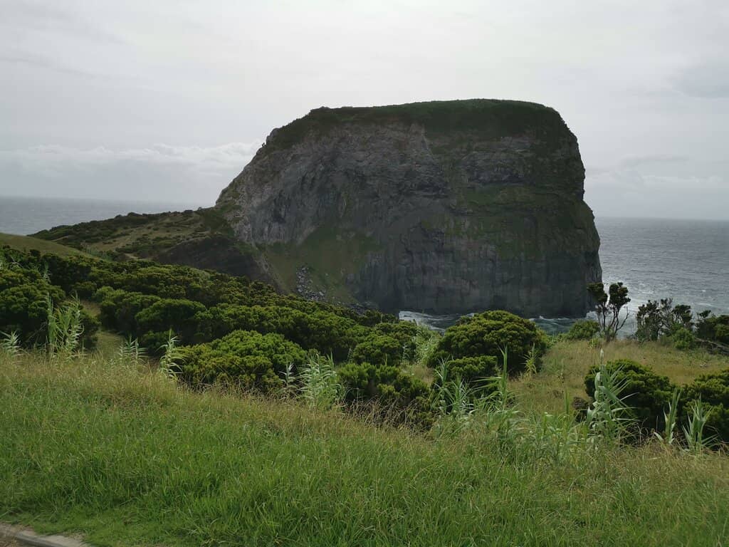 Birdwatching Paradise