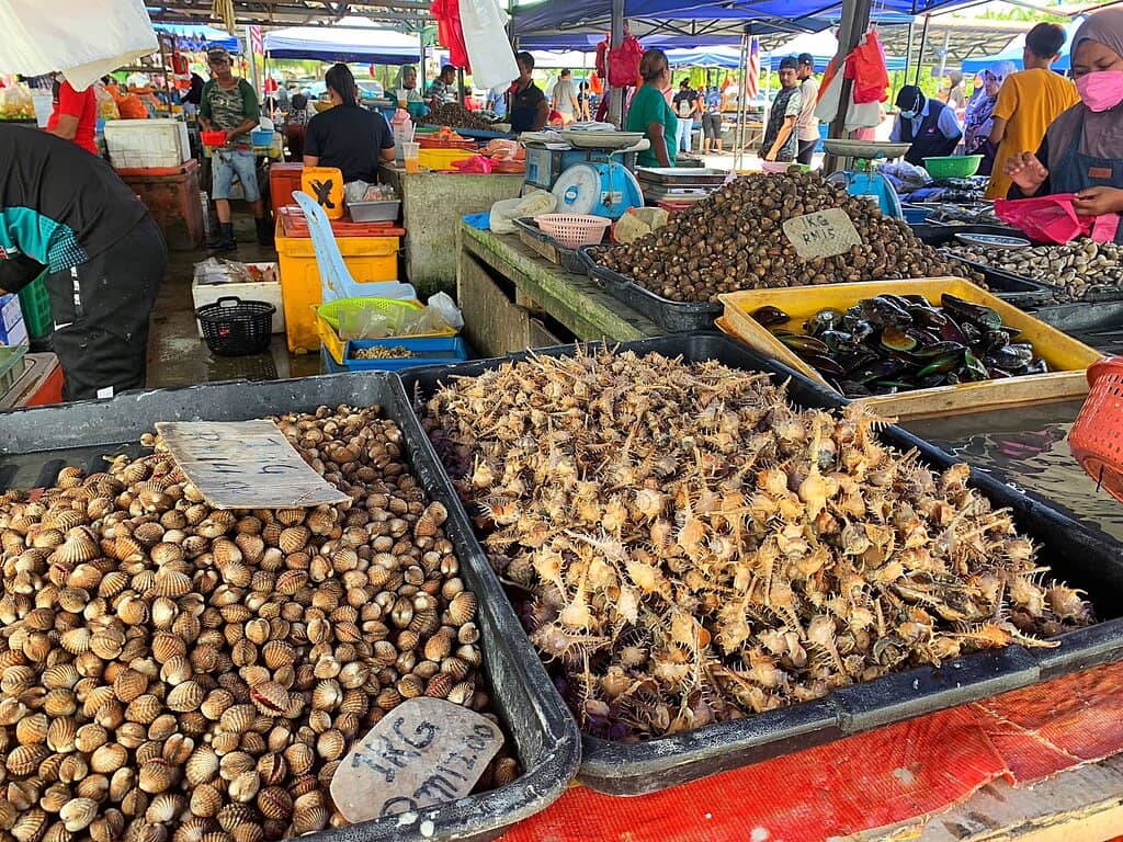 Local Seafood Delights