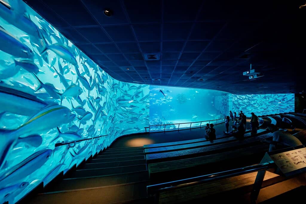 Historical Marine Life