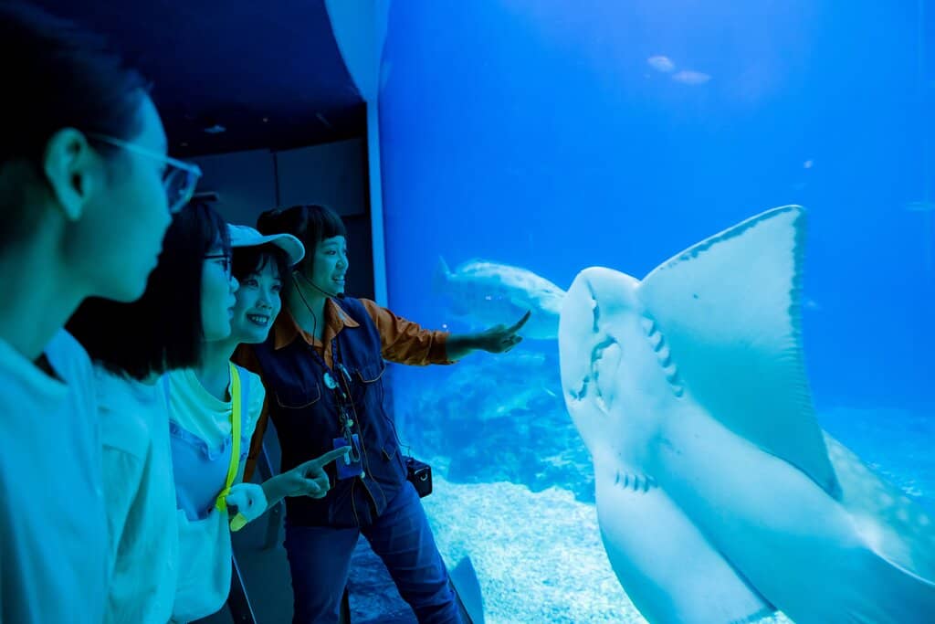 Aquarium Wonders