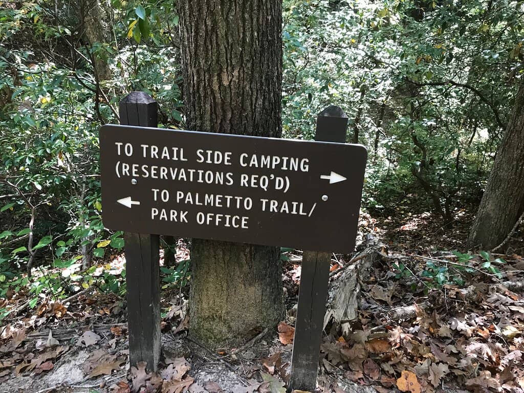 Camping Experience