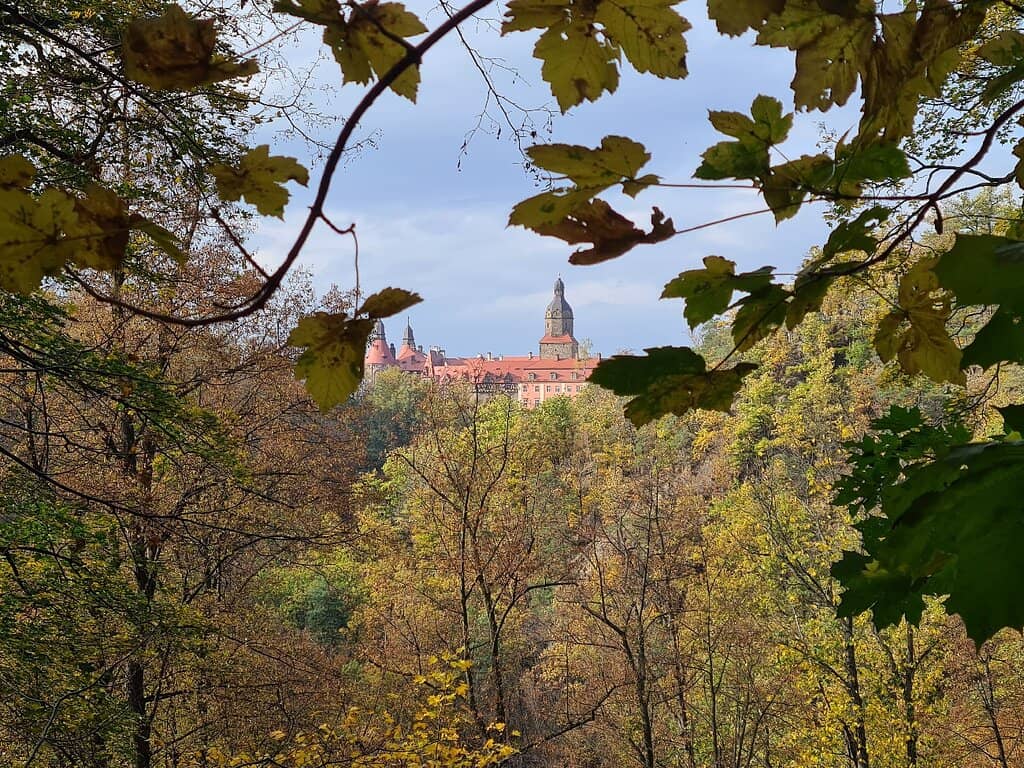 Hochberg Family History