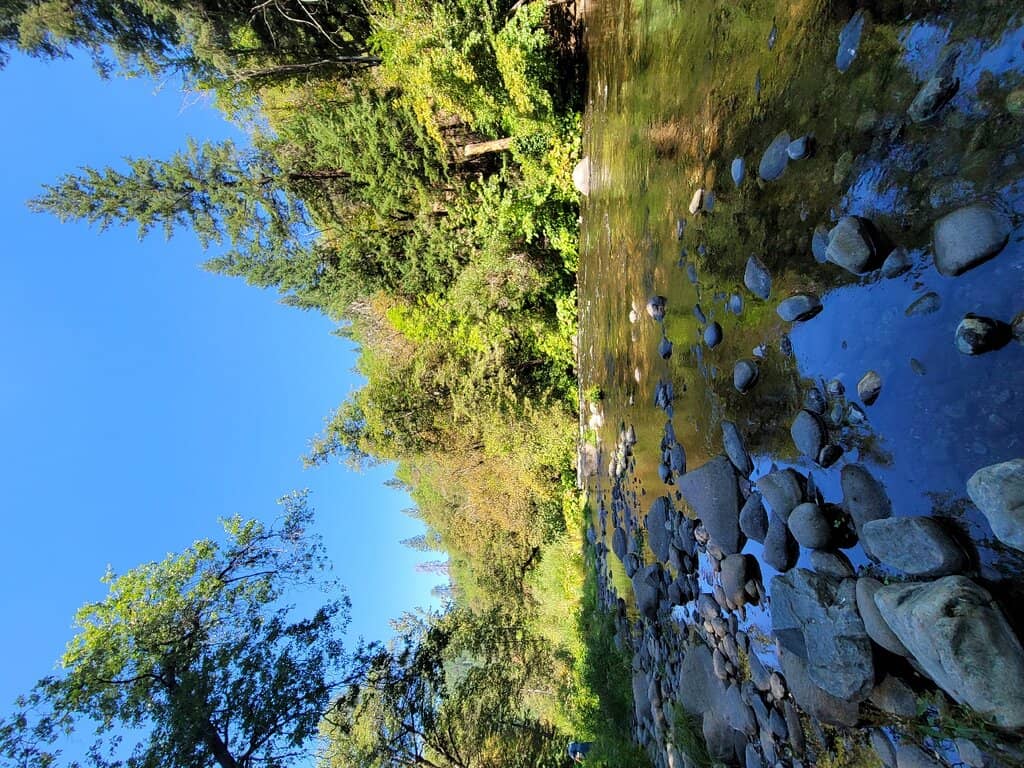 Easy, Scenic Trail