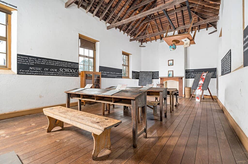 Llama & Alpaca Feeding