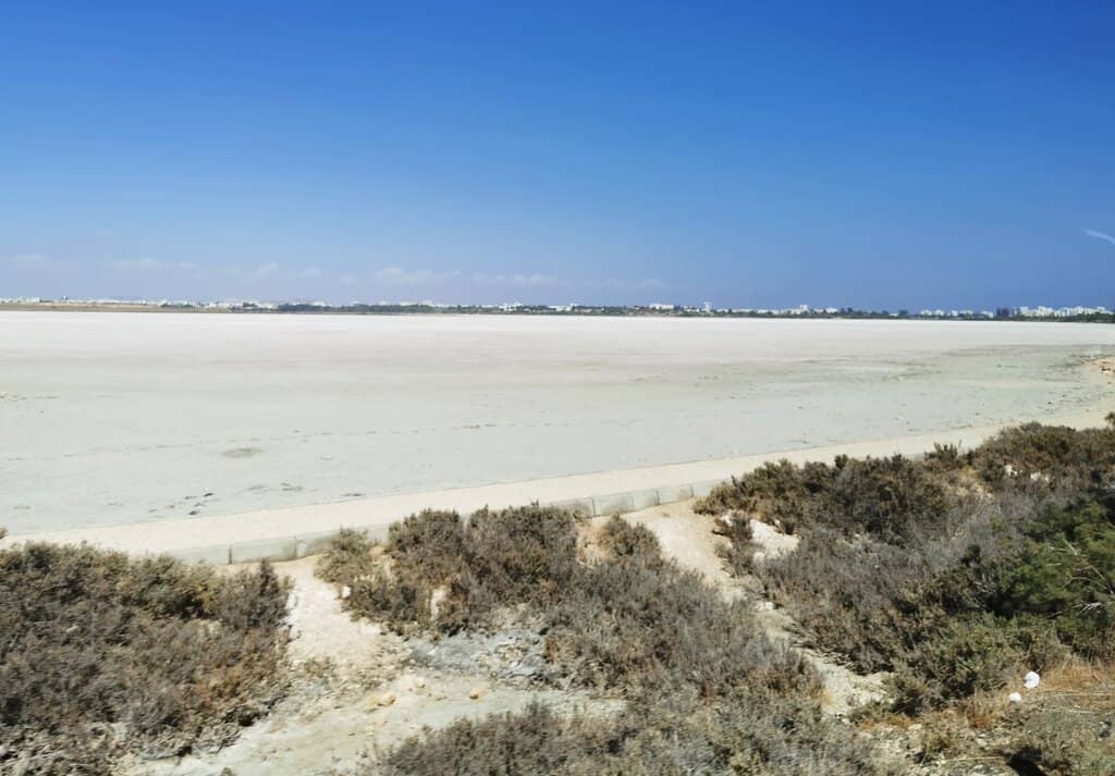 The Tomb of Umm Haram