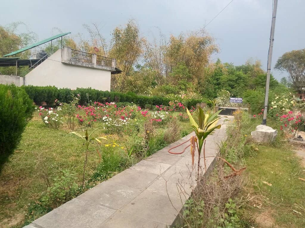 Norah Richards' House