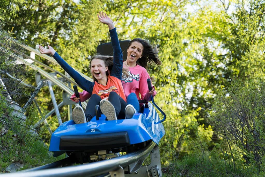 Treetop Adventures Course