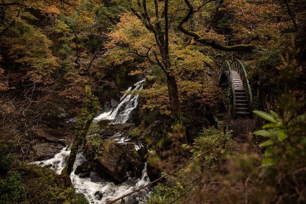 The Three Bridges