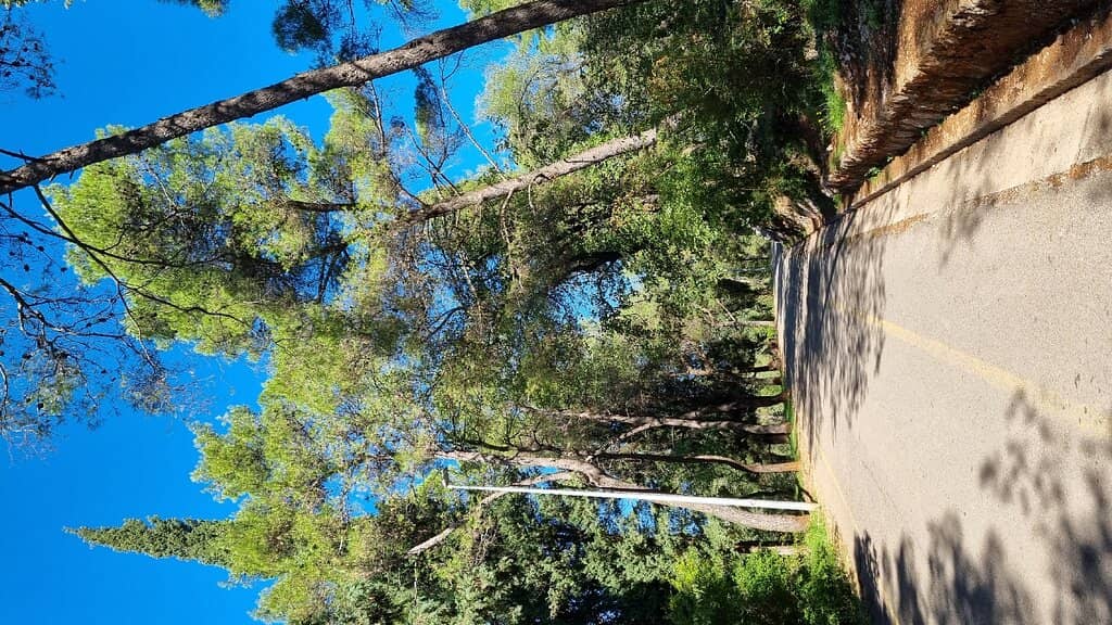 Vertical photo
