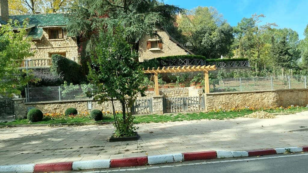 Local Flora and Fauna