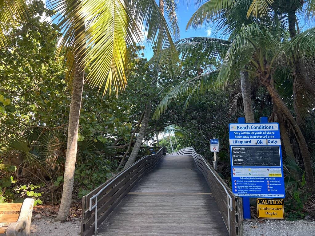 Abundant Shells and Wildlife