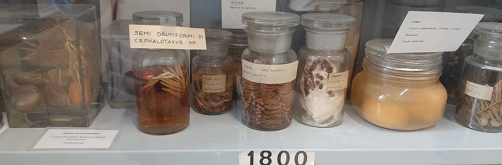 Philosophical Exhibitions