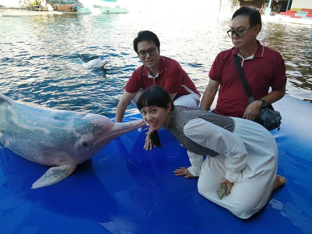 Animal Feeding