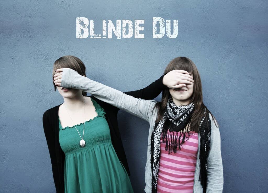 Exceptional Blind Service