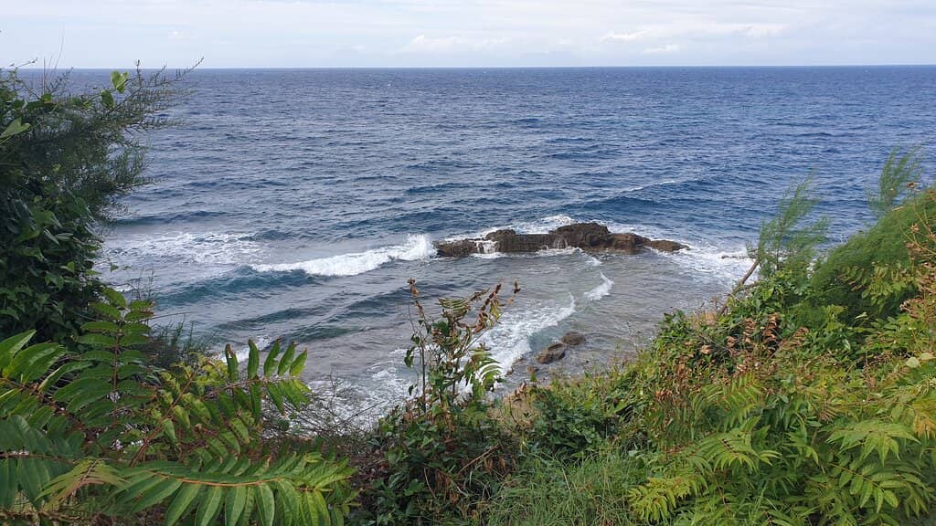 Stalactite and Stalagmite Formations