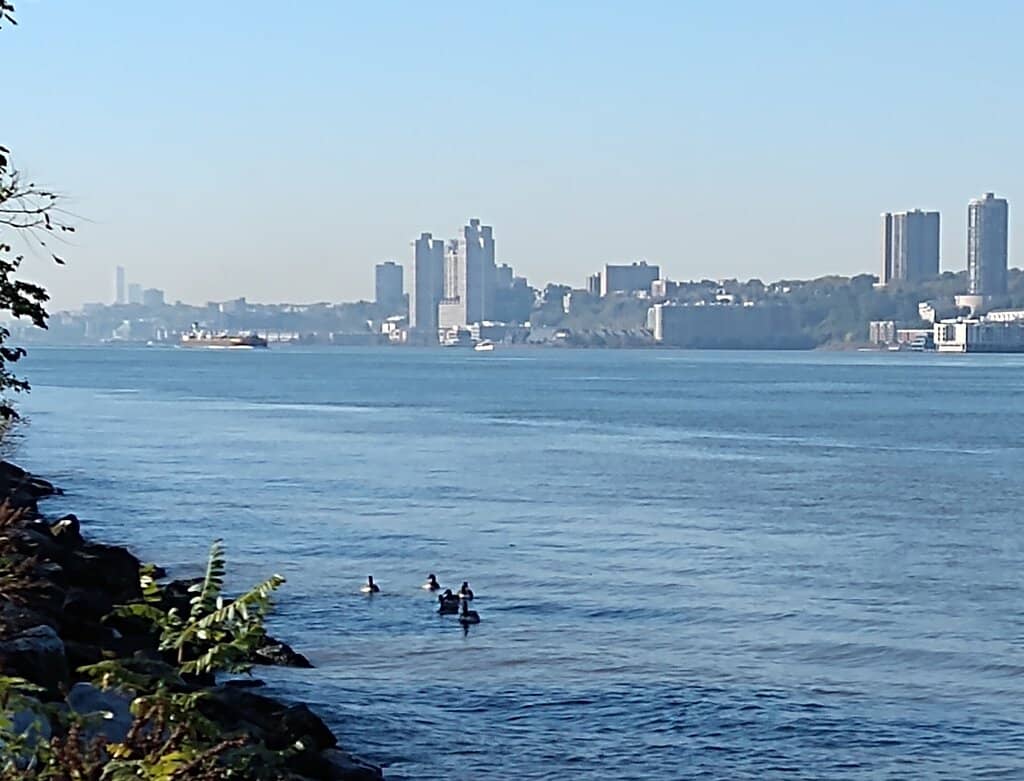 Baylander Steel Beach